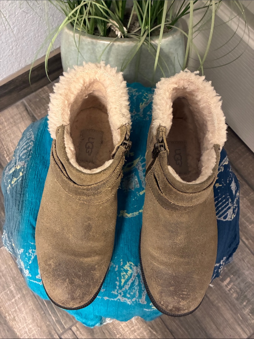 UGG Chestnut Suede Shearling Ankle Booties
